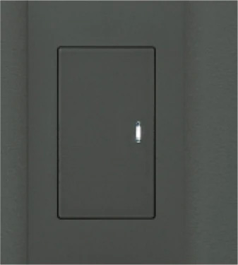 アドバンススイッチ